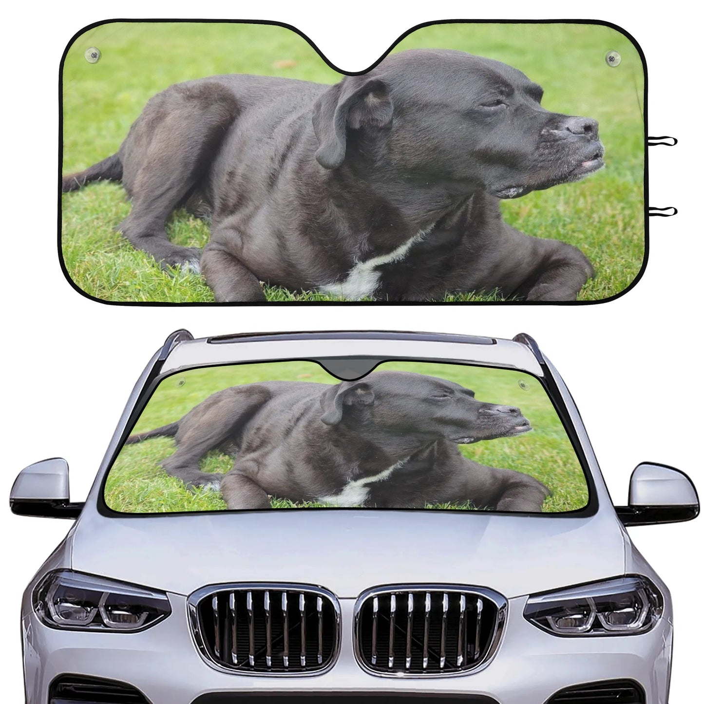 Car Sunshade
