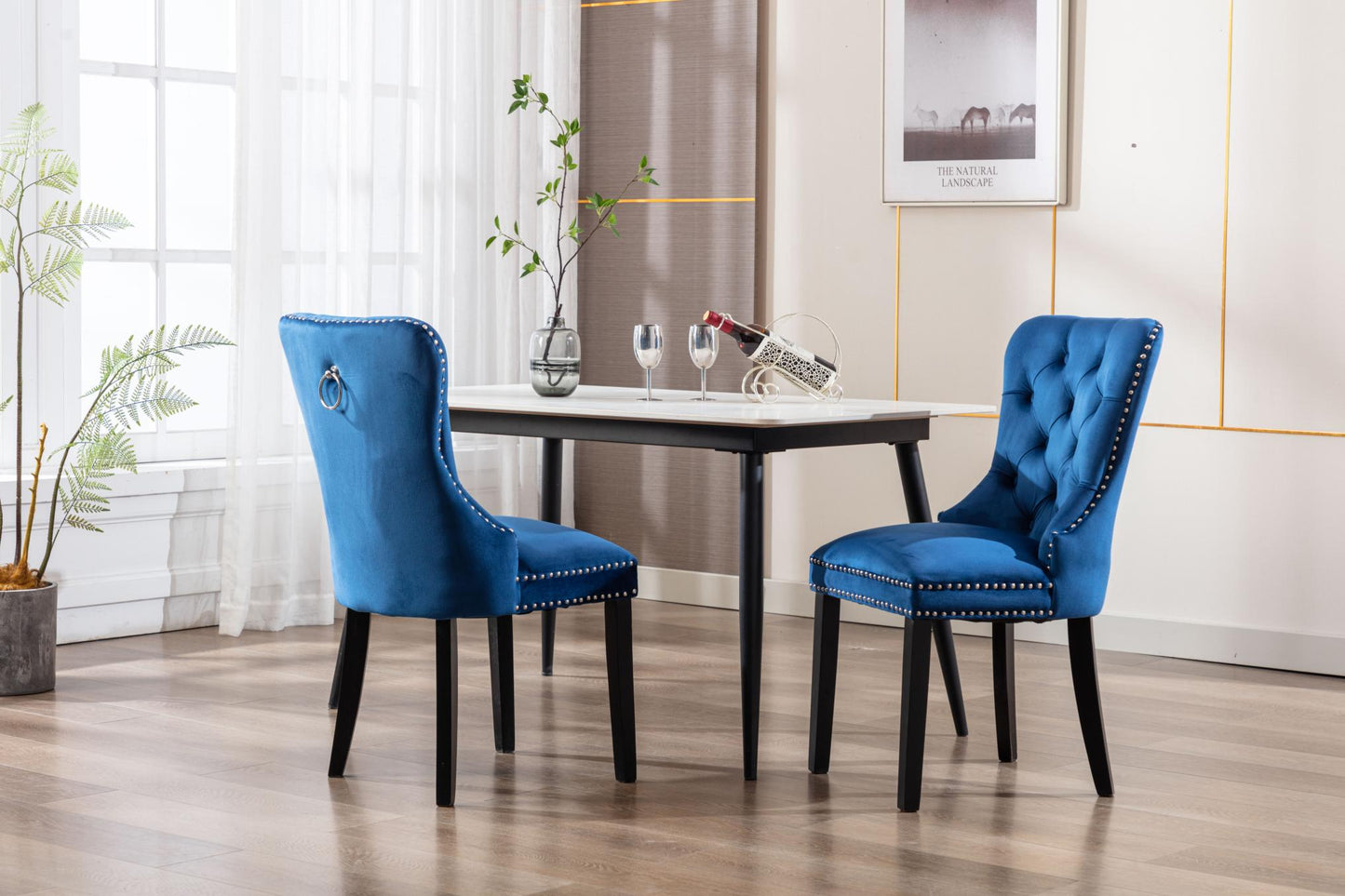 Dining Chairs Set of 2 , Velvet Upholstered Dining Room Chairs Modern Elegant
