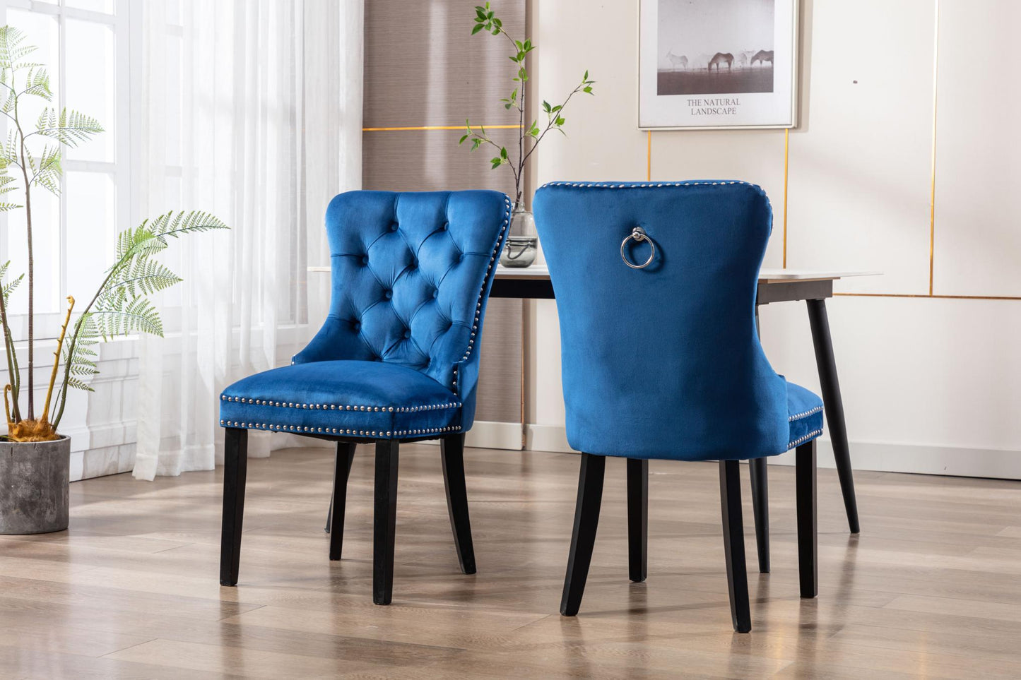 Dining Chairs Set of 2 , Velvet Upholstered Dining Room Chairs Modern Elegant