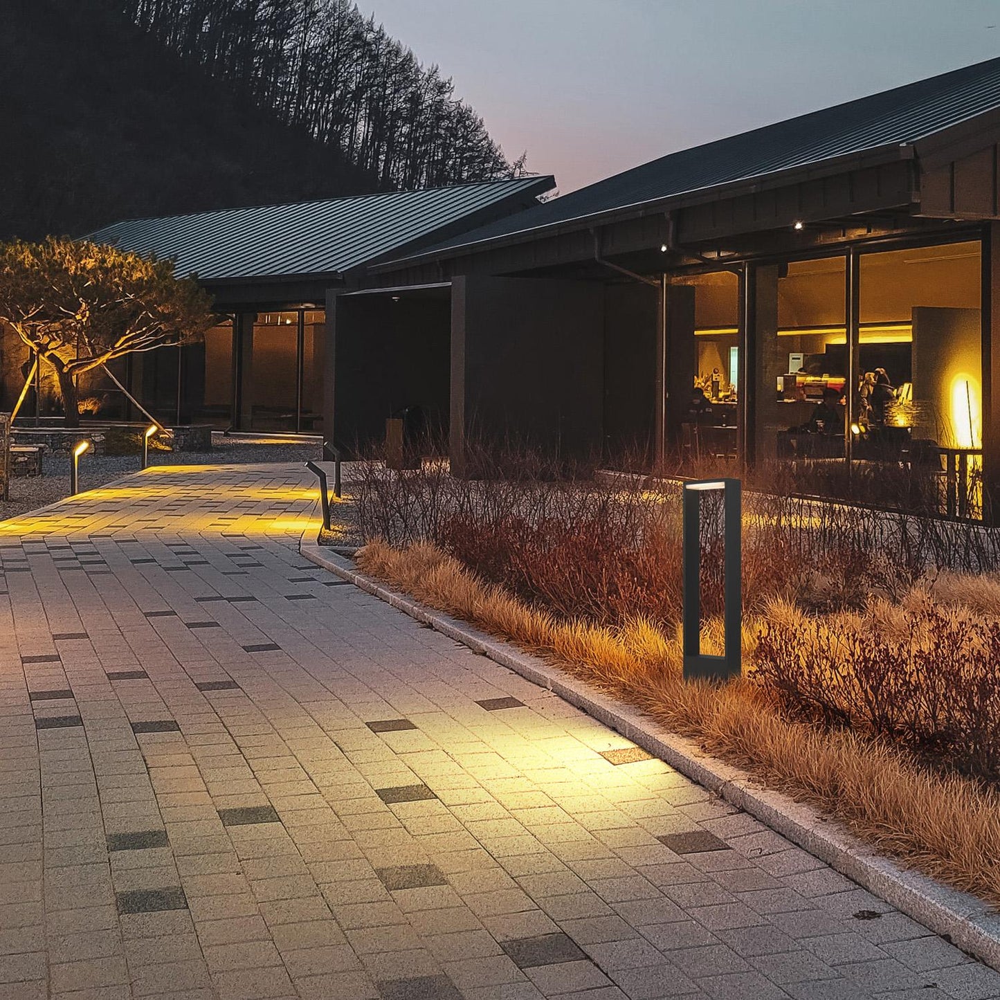 Outdoor Bollard Lamp/Path Light
