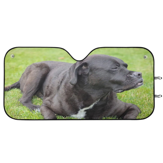 Car Sunshade
