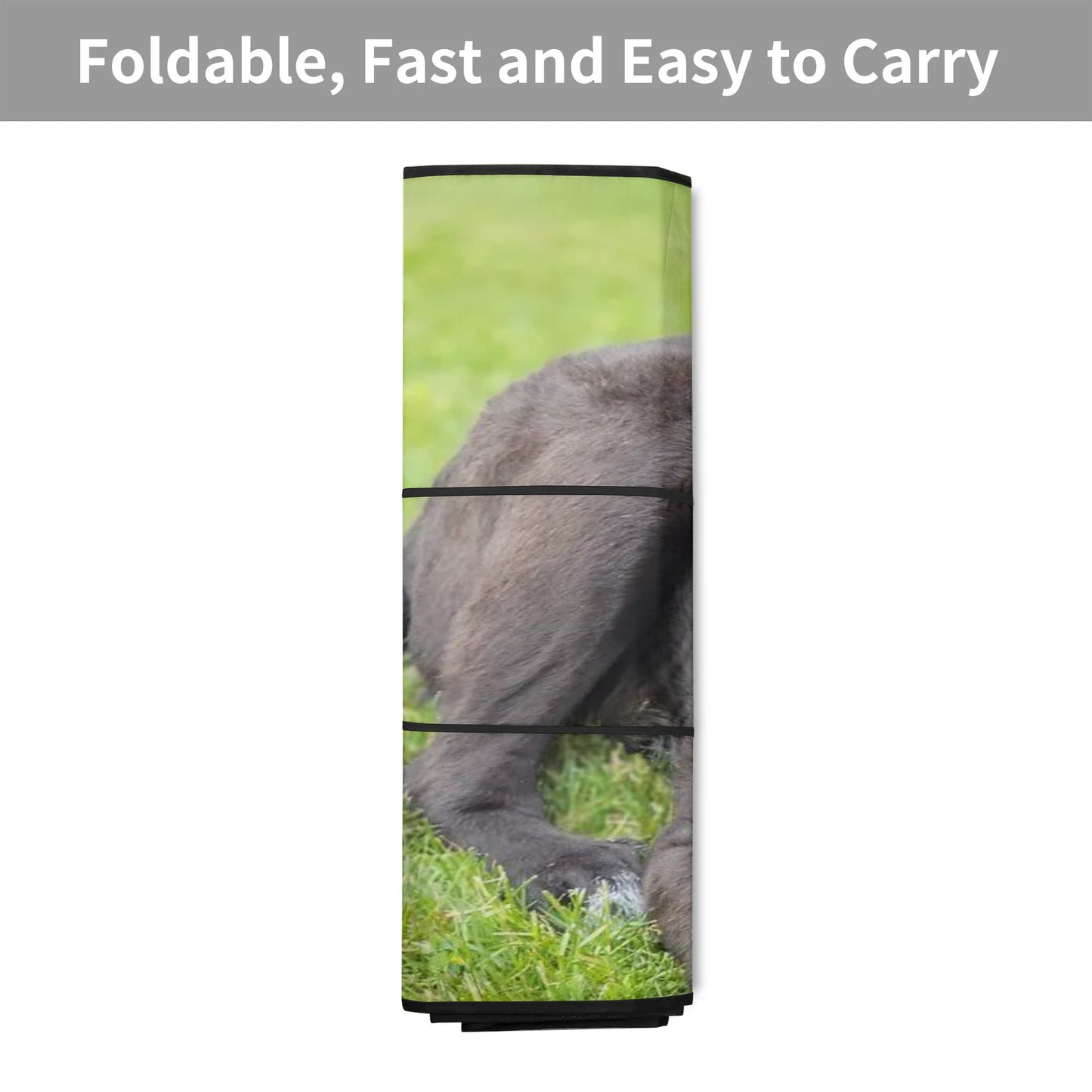 Car Sunshade