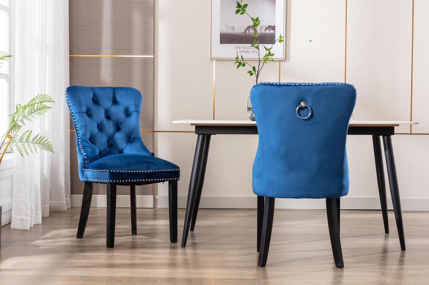 Dining Chairs Set of 2 , Velvet Upholstered Dining Room Chairs Modern Elegant