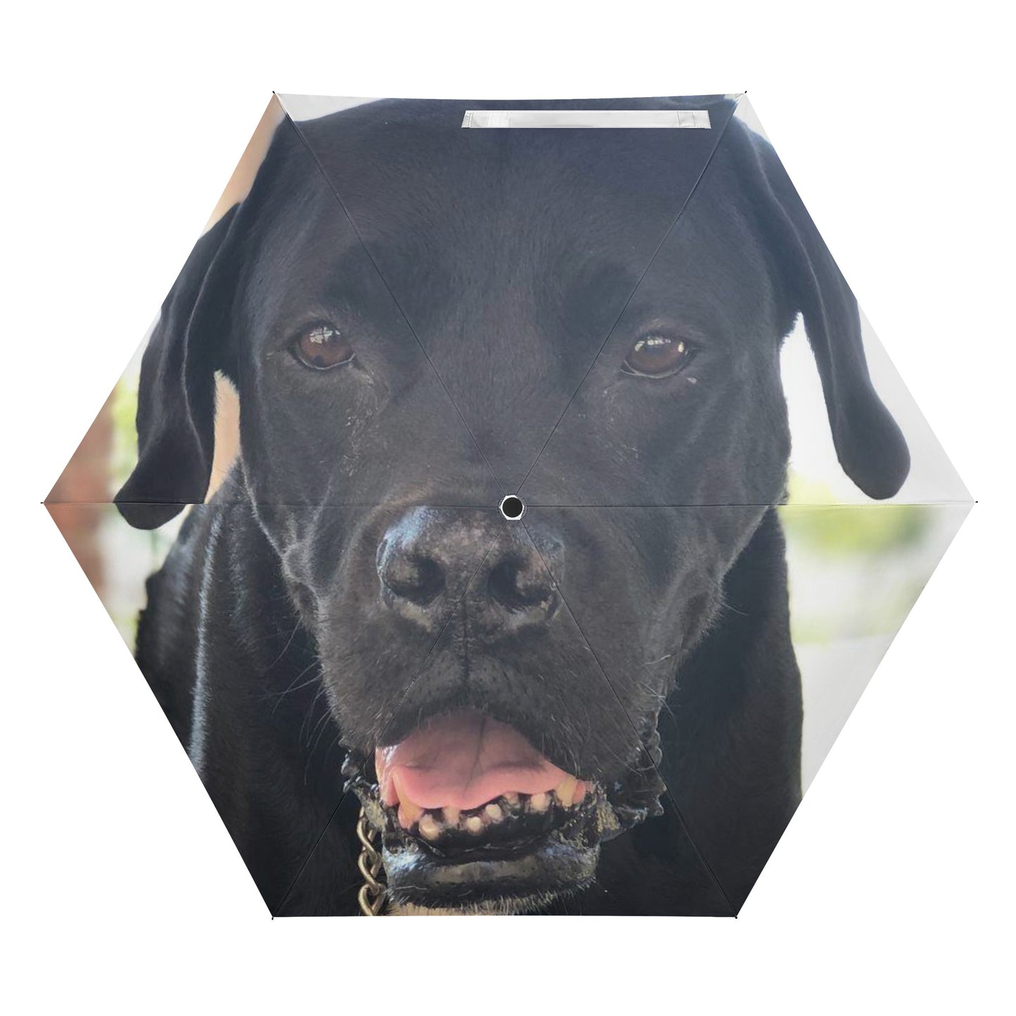 Custom Personalized Manual Folding Umbrella Printing Outside