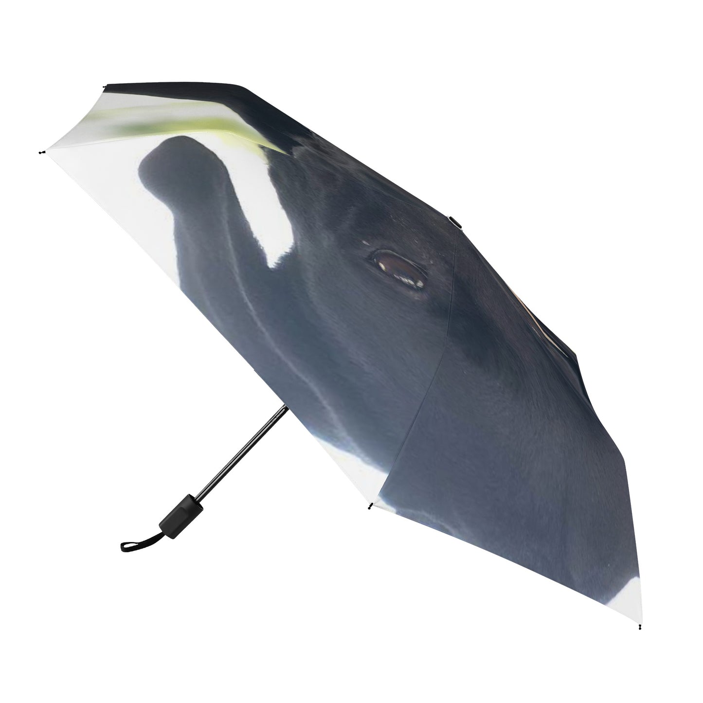 Custom Personalized Manual Folding Umbrella Printing Outside