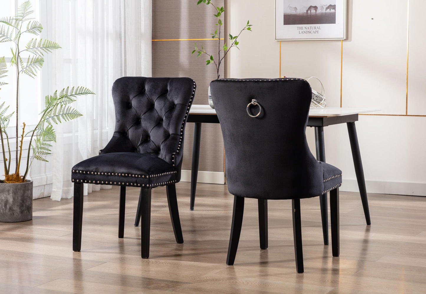 Dining Chairs Set of 2 , Velvet Upholstered Dining Room Chairs Modern Elegant