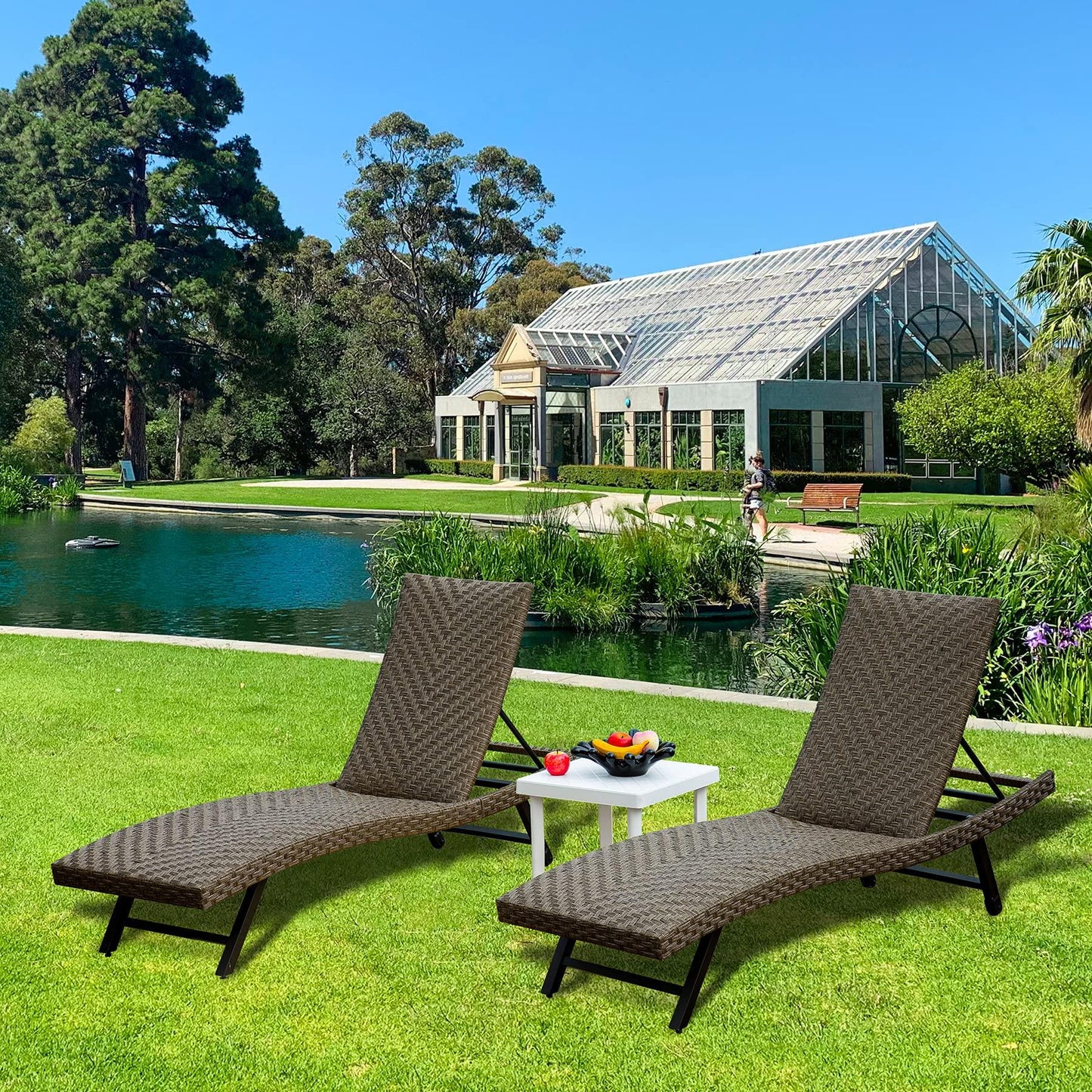 Domi Outdoor Living Outdoor PE Rattan Chaise Lounge - Set of 2 Patio Reclining Chair Furniture Set B